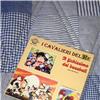 Sigla TV 45 giri Il Fichissimo del Baseball Cavalieri del Re. Near Mint. Spedito&#33;&#33;&#33;