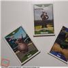 LE GRANDI AVVENTURE DREAMWORKS- LOTTO CARDS (PANORAMA PAM)