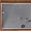 Fotografia Brigata Paracadutisti FOLGORE Anni `50 BIANCO&#47;NERO 