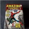 Amazing Spiderman Omnibus n.1 Marvel USA